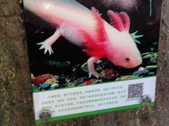 -青青世界