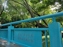 -青枫公园