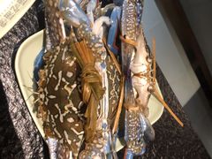-海吃海喝海鲜烤肉炭火主题自助餐(朝阳店)