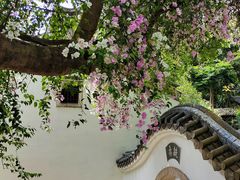 -深圳国际园林花卉博览园