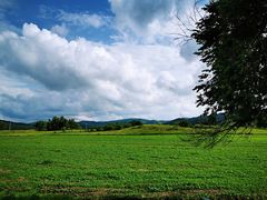 -塞罕坝国家级自然保护区