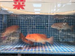 -渔满仓海鲜渔家(象山二店)
