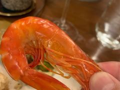 -斯普汇生蚝牛排馆(中骏世界城店)
