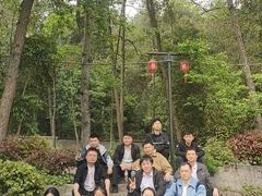 -铁山坪森林公园