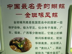 -上海昆虫博物馆