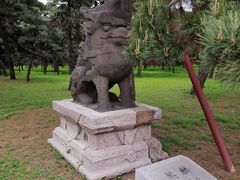-北陵公园