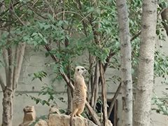 -石家庄市动物园