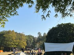 -东湖落雁景区