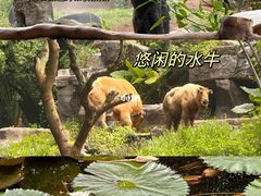 -海南热带野生动植物园