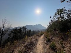 -素山寺森林公园