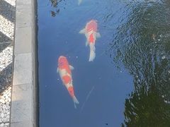-西安市广仁寺