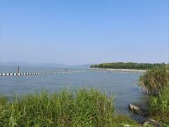 -上海市保健医疗中心