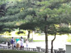 -元大都城垣遗址公园