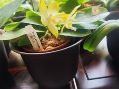 -云溪植物园