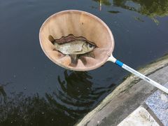 -酷鱼垂钓CLUB(朝阳区博大路店 )