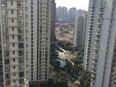 -新湖明珠城