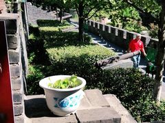-小湾茶楼