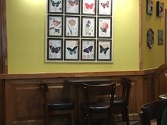 -多克多蒸气茶DOKDO(鼓楼绿地店)