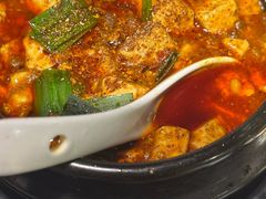 -陈麻婆豆腐总店