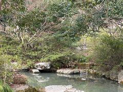 -上海滨江森林公园