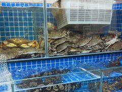 -大勇海鲜(叙康里店)
