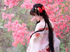 -木兰云雾山