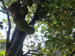 -渔乡米坊·岭南传统小吃专门店(天河龙口西店)