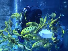 -正佳极地海洋世界