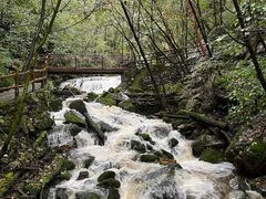 -青峰峡国家森林公园