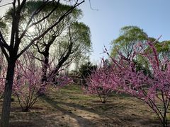 -东郊湿地公园