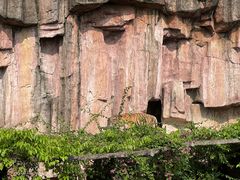 -长鹿旅游休博园