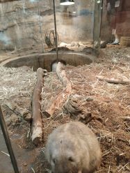 -Zoolung Zoolung动物主题公园(海信广场店)