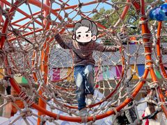 -中国福利会少年宫