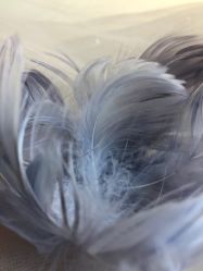 -Flora婚纱礼服定制租赁店