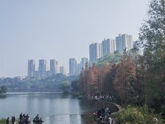 -重庆彩云湖湿地公园