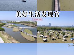 -春花秋色城市公园