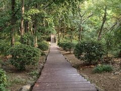 -南京市江宁方山