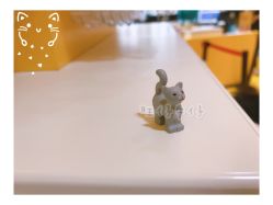 -kidsland(南开大悦城店)