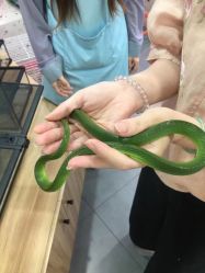 -Moni星球萌宠·小马宝莉·灵蛇·高端高阶全萌宠互动体验俱乐部(红豆国际广场店)