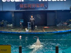 -苏州海洋馆