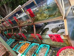 -景隆乳鸽王海鲜餐厅(溪涌店)