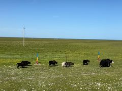 -青海湖国家重点风景名胜区