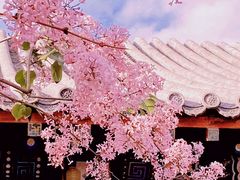 -桃花堤公园