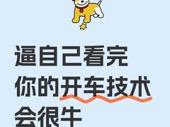 -明泽陆通汽车陪练(总店)