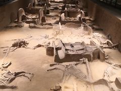 -洛阳周王城天子驾六博物馆