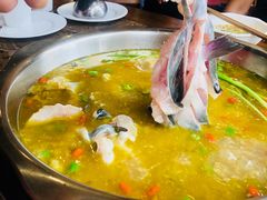 -鲜椒鱼·雅安地标性美食