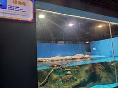 -秦皇岛新澳海底世界