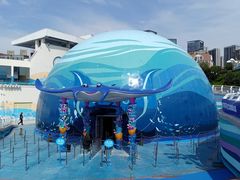 -海合安青岛极地海洋公园
