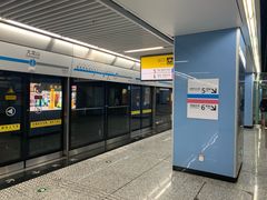 -大龙山(地铁站)