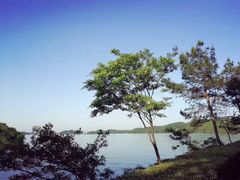 -天目湖涵田半山温泉